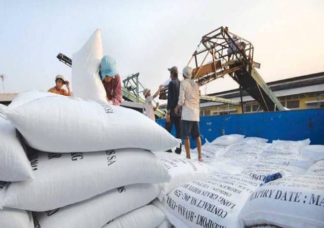 Giá gạo xuất khẩu của Việt Nam tăng đột biến, lập đỉnh 12 năm - Ảnh 1.