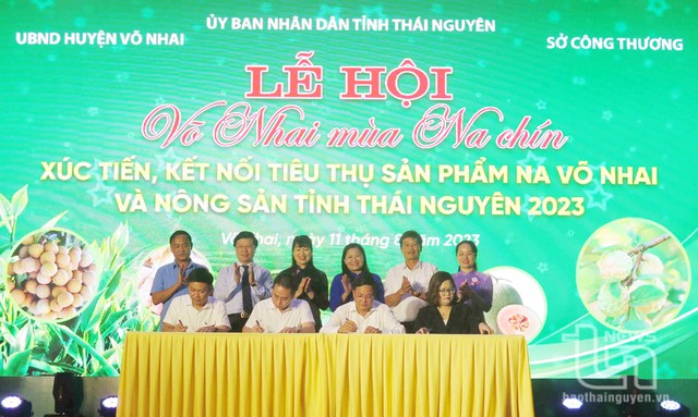 Thái Nguyên: Khai mạc Lễ hội 'Võ Nhai mùa na chín' - Ảnh 1.