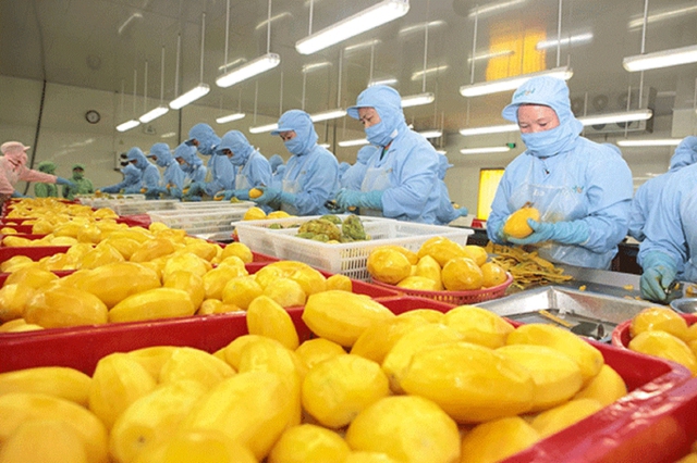 Xuất khẩu rau quả Việt có thể mang về 10 tỉ USD - Ảnh 1.