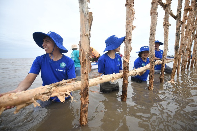 Vinamilk triển khai dự án tái sinh 25 hecta rừng ngập mặn tại Cà Mau với sự tham gia của nhân viên công ty - Ảnh 5.