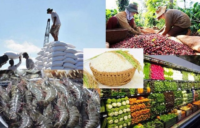 8 tháng năm 2023, xuất khẩu nông, lâm, thủy sản đạt hơn 33 tỷ USD - Ảnh 1.