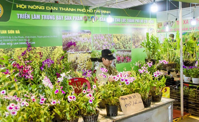 Các loại hoa lan đến từ Hội Nông dân TP Hồ Chí Minh trưng bày, giới thiệu tại Festival Nông sản Việt Nam.