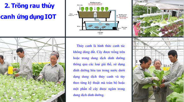 Tìm &quot;Giải pháp công nghệ trong nông nghiệp thông minh&quot; trong nông nghiệp ở Hà Nội - Ảnh 2.