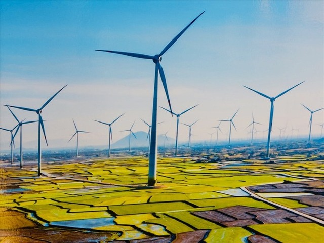 Bộ Công Thương báo cáo Thủ tướng về giá điện gió, điện mặt trời - Ảnh 1.