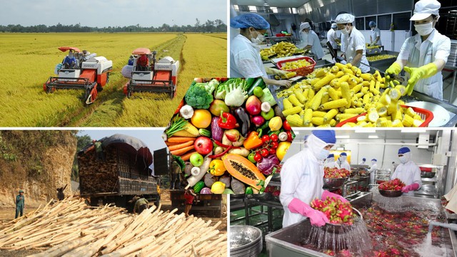 Đến 2030, xuất khẩu sản phẩm trồng trọt đạt hơn 26 tỷ USD- Ảnh 1.