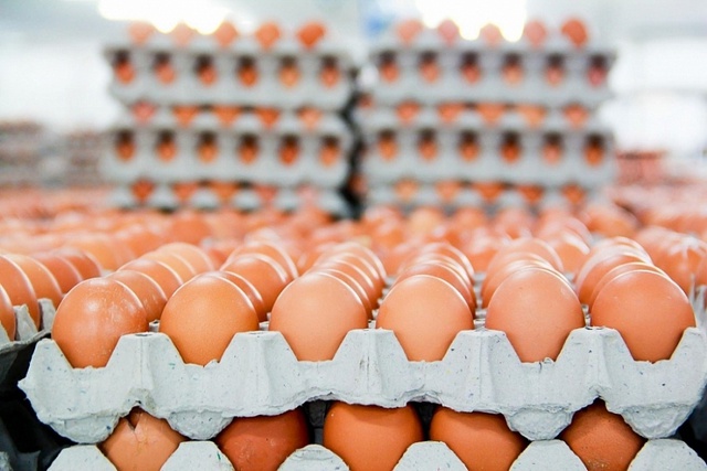 Xuất khẩu trứng gia cầm Việt Nam chỉ chiếm khoảng 1%- Ảnh 1.