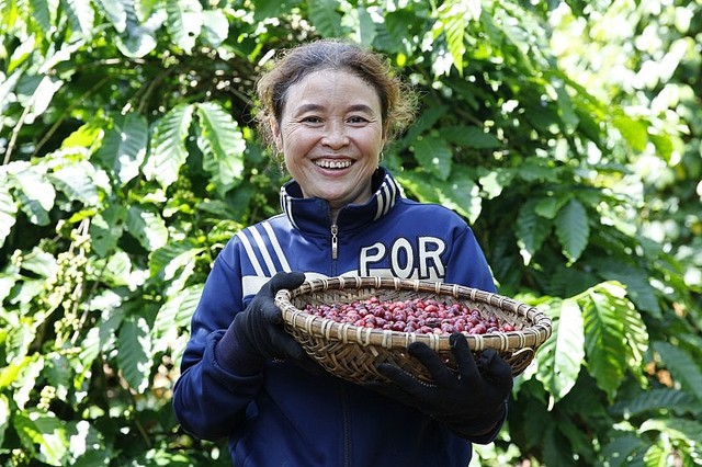 Năm 2023, xuất khẩu cà phê của Việt Nam ước đạt 1,61 triệu tấn- Ảnh 1.