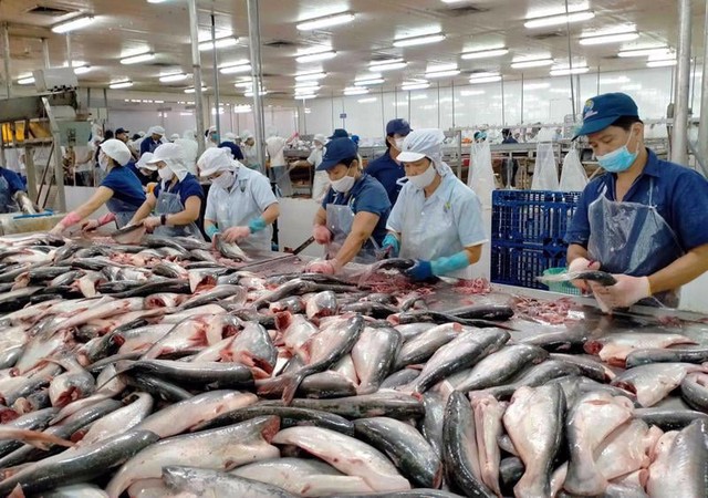 Tháng 1/2024, xuất khẩu cá tra Việt Nam sang Brazil thu về 113 triệu USD- Ảnh 1.
