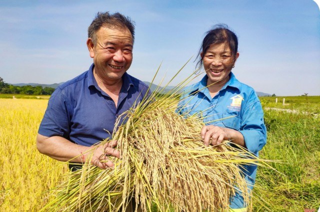 Hà Tĩnh: Tiềm năng mô hình sản xuất lúa kết hợp nuôi rươi, cáy tại xã Yên Hồ- Ảnh 2.
