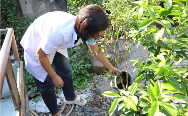 Thái Bình: Ghi nhận thêm 3 ổ dịch sốt xuất huyết mới- Ảnh 1.