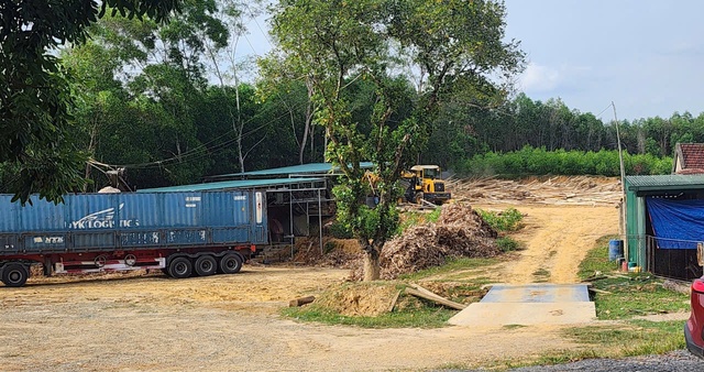 Nghệ An: Giải pháp bền vững nào cho phát triển công nghiệp chế biến gỗ rừng trồng- Ảnh 2.