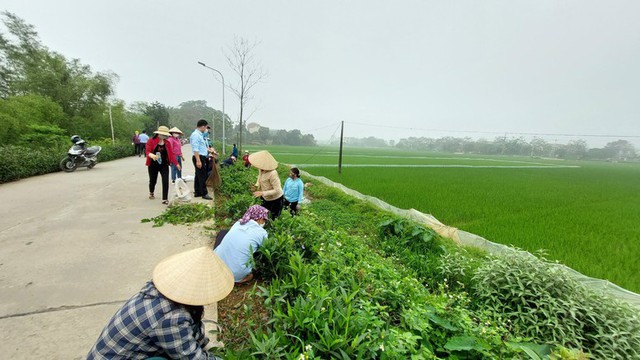 Hội nghị đối thoại với Nông dân Thủ đô năm 2024 sẽ diễn ra trong tháng 12- Ảnh 1.