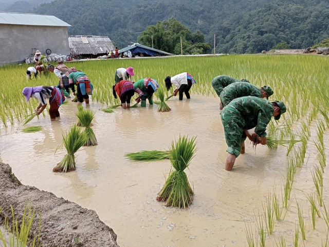 BĐBP Lai Châu: Xây thế trận lòng dân từ “3 bám, 4 cùng”- Ảnh 4.