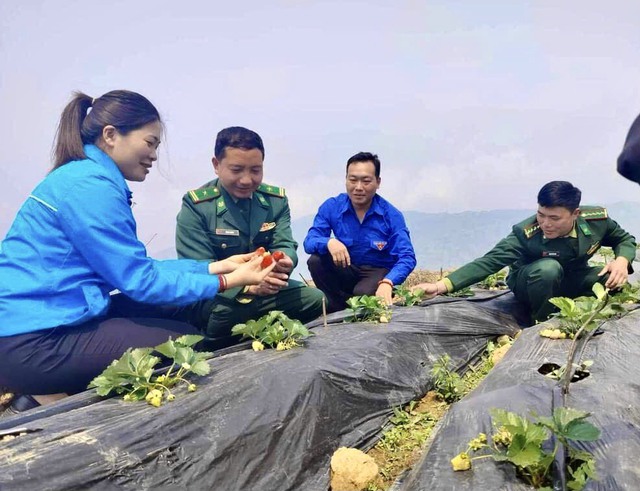 BĐBP Lai Châu: Xây thế trận lòng dân từ “3 bám, 4 cùng”- Ảnh 10.