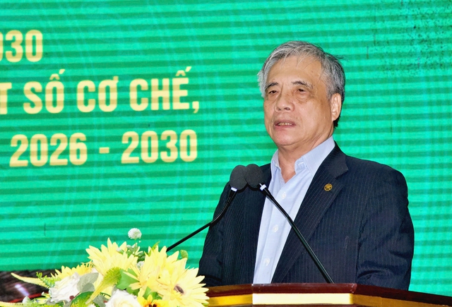 Nghệ An: Triển khai Quy hoạch lâm nghiệp quốc gia thời kỳ 2021-2030 tầm nhìn đến năm 2050- Ảnh 2.