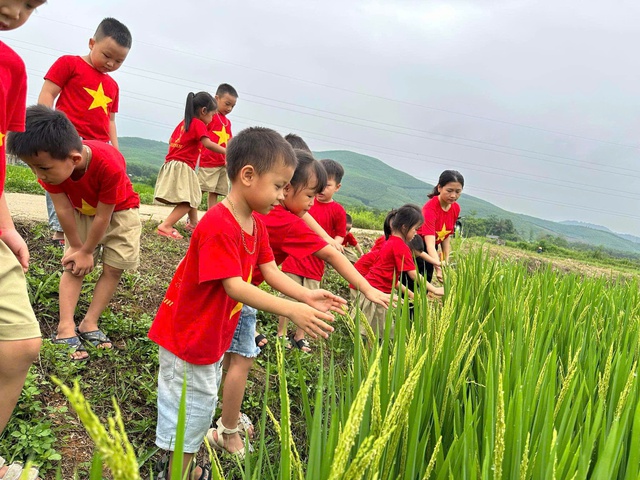 Trường Mầm non Yên Hợp: Ngôi trường học tập an toàn, sáng tạo và phát triển toàn diện cho trẻ em.- Ảnh 5.