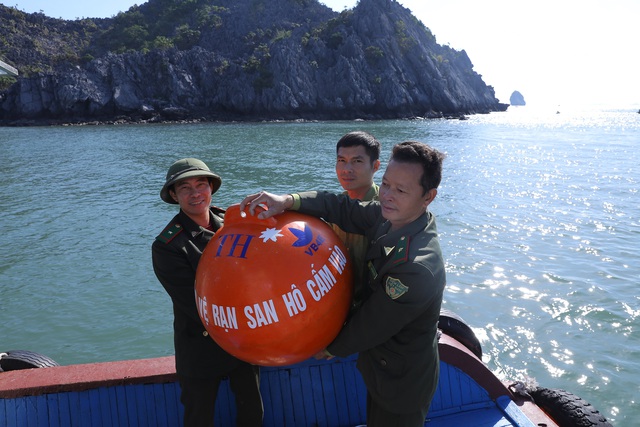 Khi san hô 'kêu cứu': Tập đoàn TH tiên phong, cùng phục hồi thiên nhiên- Ảnh 1.