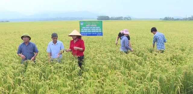 Thanh Hóa: Kiến tạo “nông thôn mới phồn thịnh, vững bền”- Ảnh 1.