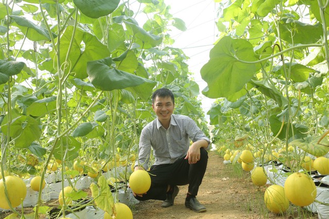 Thanh Hóa: Kiến tạo “nông thôn mới phồn thịnh, vững bền”- Ảnh 3.