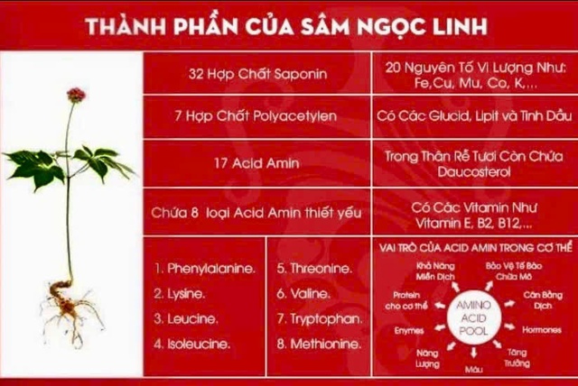 Kon Tum: Khai mạc Hội thảo sâm Ngọc Linh - định hướng nâng tầm giá trị sâm Việt Nam- Ảnh 3.