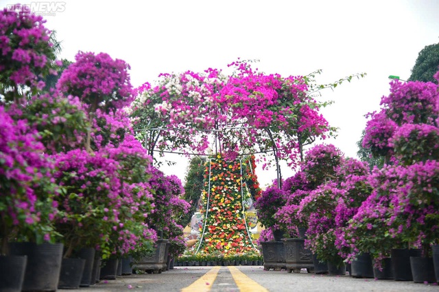 Hà Nội: Tôn vinh giá trị làng nghề trồng hoa qua Festival Hoa Mê Linh lần thứ 2- Ảnh 5.