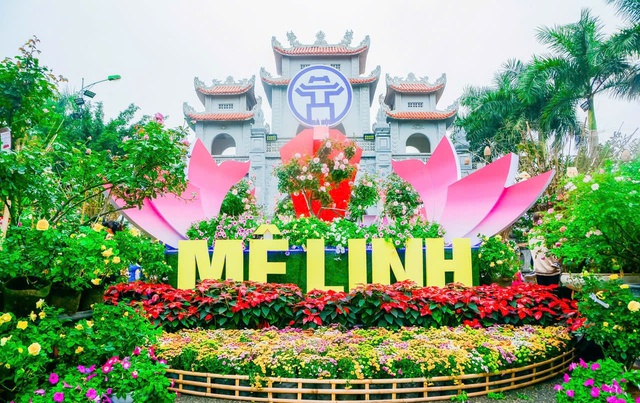 Hà Nội: Tôn vinh giá trị làng nghề trồng hoa qua Festival Hoa Mê Linh lần thứ 2- Ảnh 3.