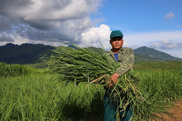 Sơn La: Huy động mọi nguồn lực, hoàn thành tiêu chí xây dựng nông thôn mới- Ảnh 1.