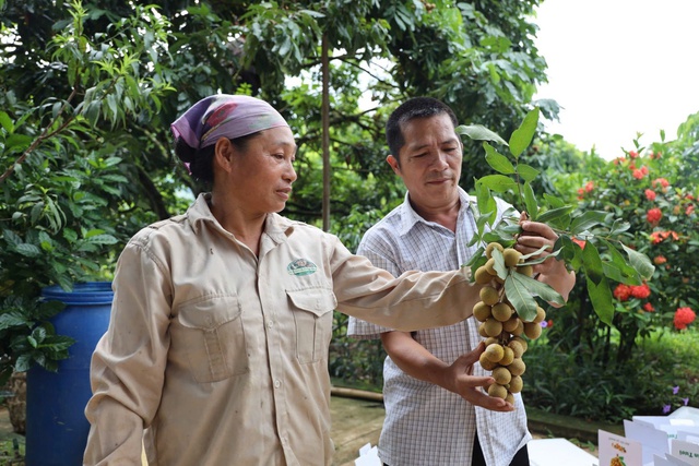 Sơn La: Huy động mọi nguồn lực, hoàn thành tiêu chí xây dựng nông thôn mới- Ảnh 2.