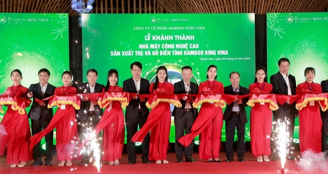 Thanh Hóa: Khánh thành Nhà máy sản xuất tre và gỗ biến tính Bamboo King Vina- Ảnh 1.