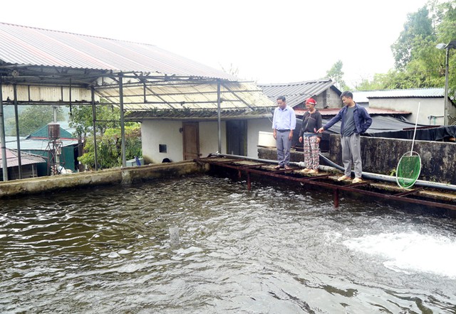 Các mô hình “Dân vận khéo” trong phát triển kinh tế giúp đồng bào vùng cao nâng cao thu nhập, giảm nghèo bền vững.