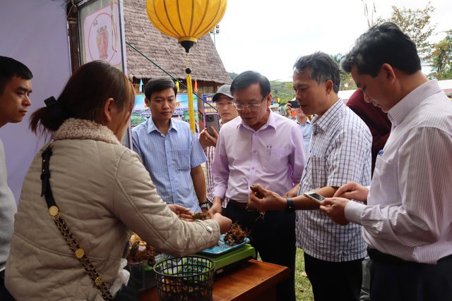 Kon Tum: Sẵn sàng cho Hội thảo mở ra cơ hội nâng tầm giá trị sâm Ngọc Linh- Ảnh 3.