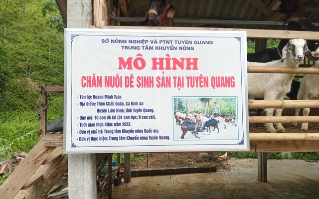 Lâm Bình – Tuyên Quang:
Vươn lên làm giàu từ sản phẩm OCOP- Ảnh 1.