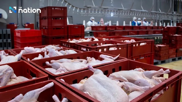 Thái Lan trở thành nước xuất khẩu thịt gà lớn thứ ba thế giới- Ảnh 2.