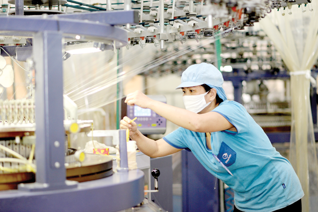 Năng suất lao động của Việt Nam thấp hơn nhiều nước trong khu vực- Ảnh 1.