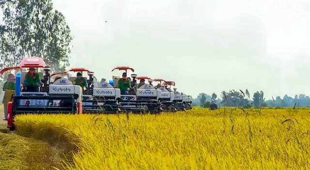 An Giang: Phấn đấu kim ngạch xuất khẩu gạo năm 2024 đạt 325 triệu USD- Ảnh 1.