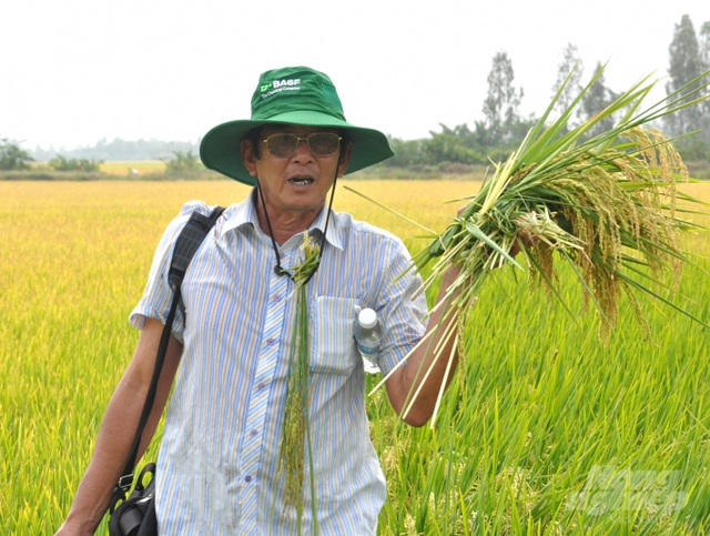 TP Hồ Chí Minh ghi nhận kim ngạch xuất khẩu gạo lớn nhất, khoảng 1,4 tỷ USD- Ảnh 1.