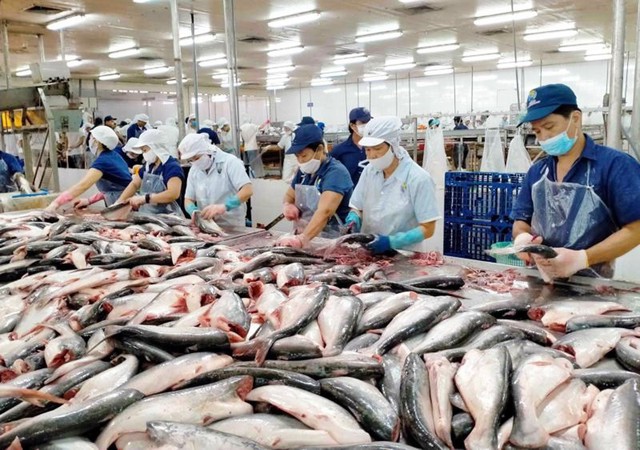 Việt Nam là nhà cung cấp cá thịt trắng lớn thứ hai cho Mỹ năm 2023- Ảnh 1.