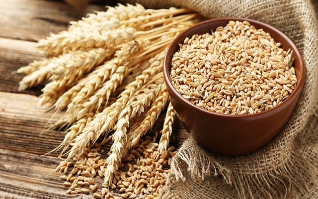 Năm 2023, Việt Nam chi hơn 97 triệu USD nhập khẩu lúa mì từ Canada- Ảnh 1.