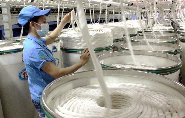 2 tháng đầu năm, Việt Nam xuất khẩu 282.059 tấn xơ sợi dệt các loại- Ảnh 1.