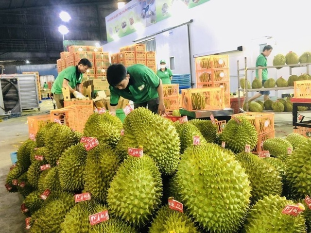 3 tháng đầu năm, xuất khẩu rau quả Việt Nam dự  kiến đạt gần 1,25 tỷ USD- Ảnh 1.