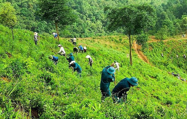 Việt Nam nhận được 51,5 triệu USD cho giảm phát thải thông qua bảo tồn rừng- Ảnh 1.