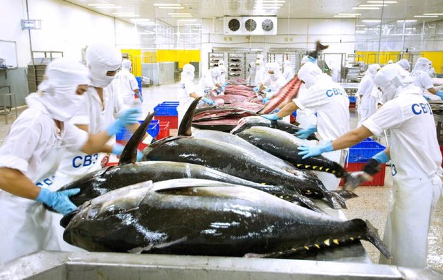 Xuất khẩu cá ngừ thu về 131 triệu USD sau 2 tháng- Ảnh 1.