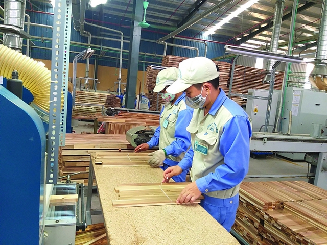 Sự lạc quan trở lại với ngành xuất khẩu gỗ- Ảnh 1.