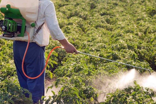 Mỹ hỗ trợ 4,4 triệu USD giúp nông dân Việt Nam nâng cao hiệu quả sử dụng phân bón- Ảnh 1.