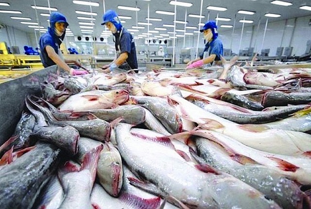 Canada đứng Top 2 trong khối thị trường CPTPP nhập khẩu cá tra từ Việt Nam- Ảnh 1.