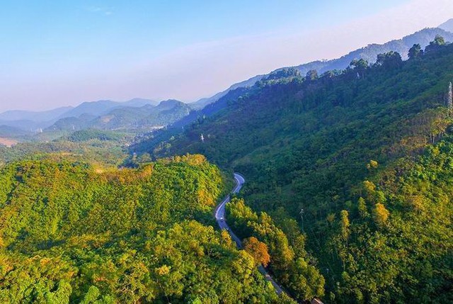6 tỉnh Bắc Trung Bộ nhận 51,5 triệu USD từ bán tín chỉ carbon rừng- Ảnh 1.