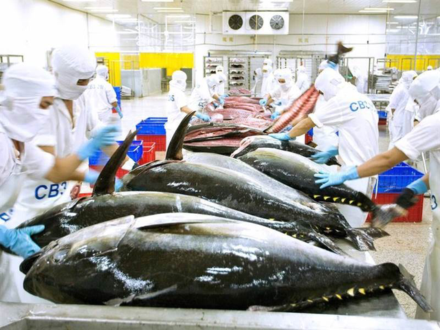 VASEP: Xuất khẩu cá ngừ khó cán mốc "tỷ đô"- Ảnh 1.