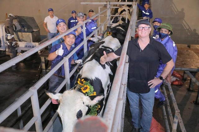 Tập đoàn TH nhập khẩu 2009 bò sữa cao sản thuần chủng từ Mỹ về trang trại Thanh Hóa- Ảnh 1.