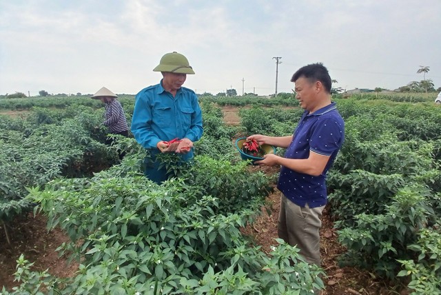 Vũ Thư: Tổng giá trị sản xuất 6 tháng đầu năm ước đạt trên 6.705 tỷ đồng- Ảnh 3.