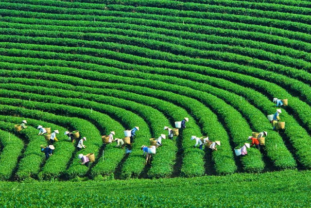 Việt Nam đứng thứ 79/160 quốc gia về chỉ số kinh tế xanh- Ảnh 1.
